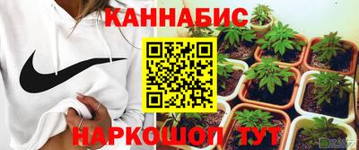 гидра Лесосибирск