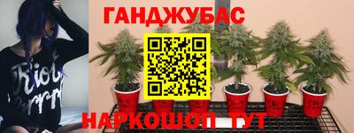 молекула духа Ливны